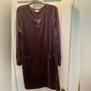 Elegant Deep Purple Velvet Dress by J Jill